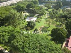 The Belvedere (D15), Condominium #63478142